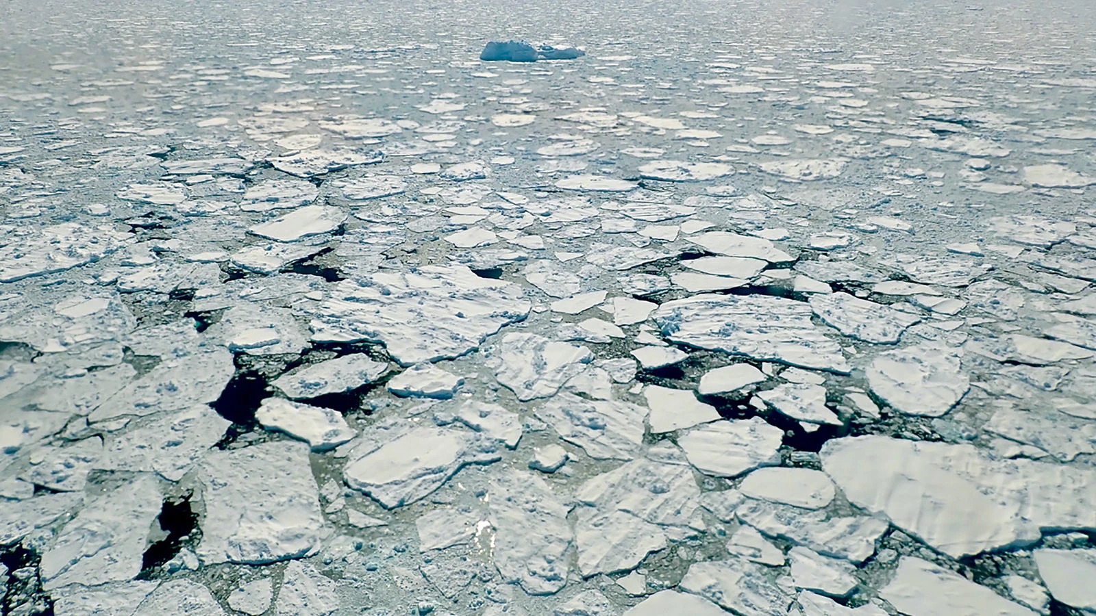 Aspetto attuale dell'areale artico nel luogo d'impatto dell'ITALIA