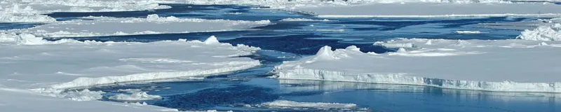 Aspetto dell'areale del Punto ITALIA