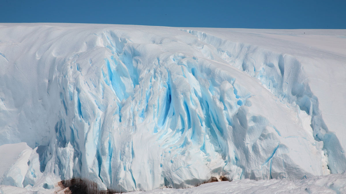 Banchisa a Capo Bridgman